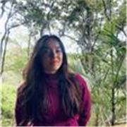 Aulas de História (Ensino fundamental e Ensino médio) online ou presenciais