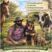 Clases on line de español para principiantes intermedios y avanzados