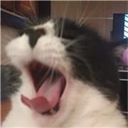 Profesor de matemáticas que imparte clases a nivel secundaria en adelante