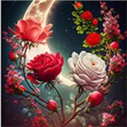 I give private lessons tailored to your level and learning needs