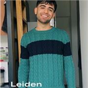 Estudiante de 4 del doble grado de física e ingeniería electrónica. Doy clases de física en inglés, castellano o en euskera