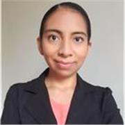 Clases Online de Matemáticas escuela y colegio $11/hora