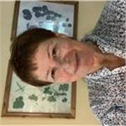 Clases de español a extranjeros, especialmente a profesionales