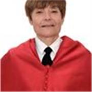 Profesor de Universidad, derecho internacional publico, unión europea