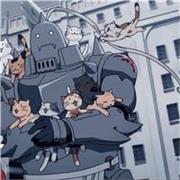 Sono insegnante da 6 anni di tecniche di animazione digitale, con una formazione solida in graphic design.