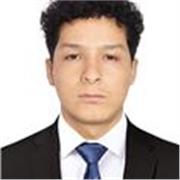 Profesor de matemáticas básicas online