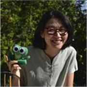 Je donne des cours particuliers de chinois tout niveau/public en ligne