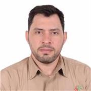 Profesor de inglés para estudiantes de primera, secundaria y nivel universitario