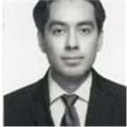 Maestro para apoyo en cualquier area teorica de artes