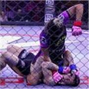 Clases personalizadas de boxeo y deportes de contacto