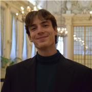 Professeur pour de l'aide au devoir et pour la préparation au Grand Oral du baccalauréat en Histoire, HGGSP, SES, Anglais