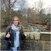 Maths Tutor up to and including GCSE level