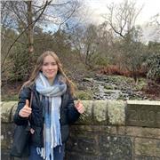 Maths Tutor up to and including GCSE level