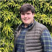 Profesor de Historia para alumnos de todos los niveles