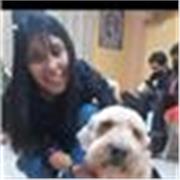 Profesora de ingles brinda asesorias de matematica