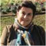 Aulas de redação e português com foco em vestibular