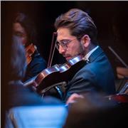 Violinista diplomato al Conservatorio propongo lezioni di violino per tutti i livelli ed età