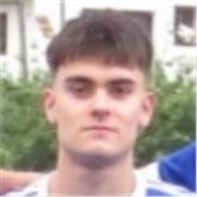 Estudiante universitario apto para dar clases de diferentes materias de primaria