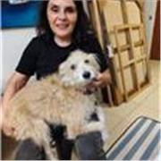 Clases taller pintura al óleo, diferentes niveles