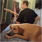 Clases de Programación y Materias Iniciales de Ingeniería | Python · C · C