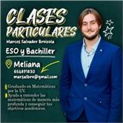 Graduado en Matemáticas por la UV. Doy clases particulares de ESO, Bachiller y preparación de la selectividad.