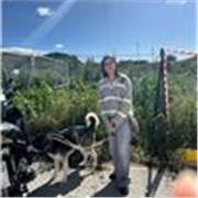 Estudiante en el bachillerato internacional con nivel nativo de inglés y español. Apto para todas las edades y niveles