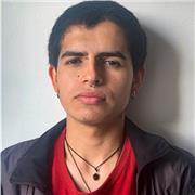 Doy clases de Inglés, Español y Francés de forma virtual. Tengo experiencia previa con niños