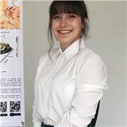 Profesor de Matemáticas, sociales, Lengua Castellana, ingeniera, artes y geología.