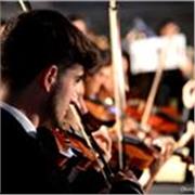 Más de 14 años de experiencia. Graduado en Conservatorio Profesional de Jerez. Estudio el Conservatorio Superior Música (Sevilla)