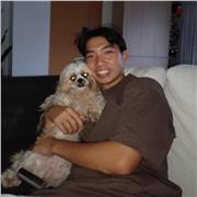 LSE Undergraduate teaching Maths at all levels