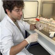 Semplificare per imparare e fissare i concetti indissolubilmente