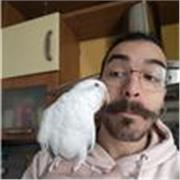 Dottore magistrale in chimica analitica impartisce lezioni di chimica a livello liceale/universitario