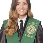 Maestra titulada con experiencia realizando prácticas curriculares en un colegio, donde apoyé en la enseñanza y el acompañamiento