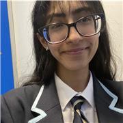 Maths tutor providing lessons to GCSE’s students and younger students