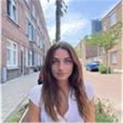 Tengo Nivel C1 de inglés y el grado en estudios europeos en inglés así que tengo un vocabulario profesional también 