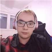 Doy clases de programación recomendable para iniciarse