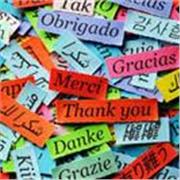 Diplomada en magisterio, C1 de inglés, doy clases particulares de inglés y apoyo, individuales y en grupo, a todos los niveles. 