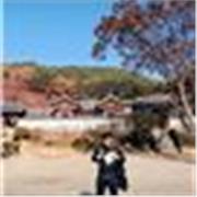 Clases de inglés y conversación, apoyo en tareas y proyectos en inglés