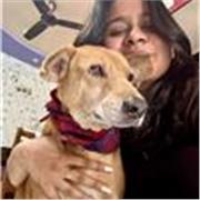 Private English Tutor who teaches children of all age group (Remote) 