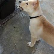 Docente di ruolo matematica con esperienza nella preparazione di studenti universitari per Analisi Matematica