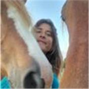 Cours en ligne équitation et soins aux chevaux