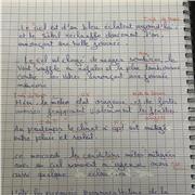 Karine