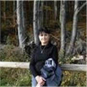 Nauczyciel informatyki - podstawy, Word, Excel, Power Point, bazy danych