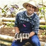 Acompañamiento de tareas y asesorías pedagógicas en primaria y prescolar