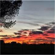 Laureata in psicologia offre tutoraggio in materie umanistiche