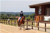 Cours théoriques équitation hippologie (débutant à G7)