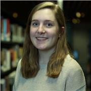 History tutor specialising in GCSE and A-level. Skilled UCAS advisor