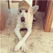 Ofrezco clases particulares matemáticas, física, química, cálculo, álgebra, estadística. ZONA NORTE DE MADRID - FUENTE DEL FRESNO - CIUDALCAMPO