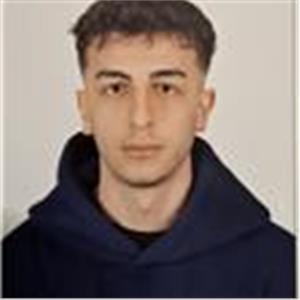 Mehmet Tarik Akbulut