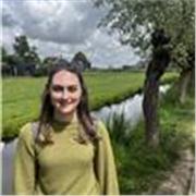 Experienced KS2 primary school teacher. English specialist and Year 6 SATs preparation